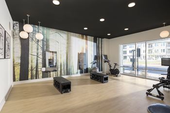 A gym with wooden floors and a wall mural of a forest scene.